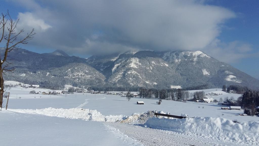 Weinbachbauer - Urlaub Am Bauernhof Villa Saint Wolfgang Exterior foto