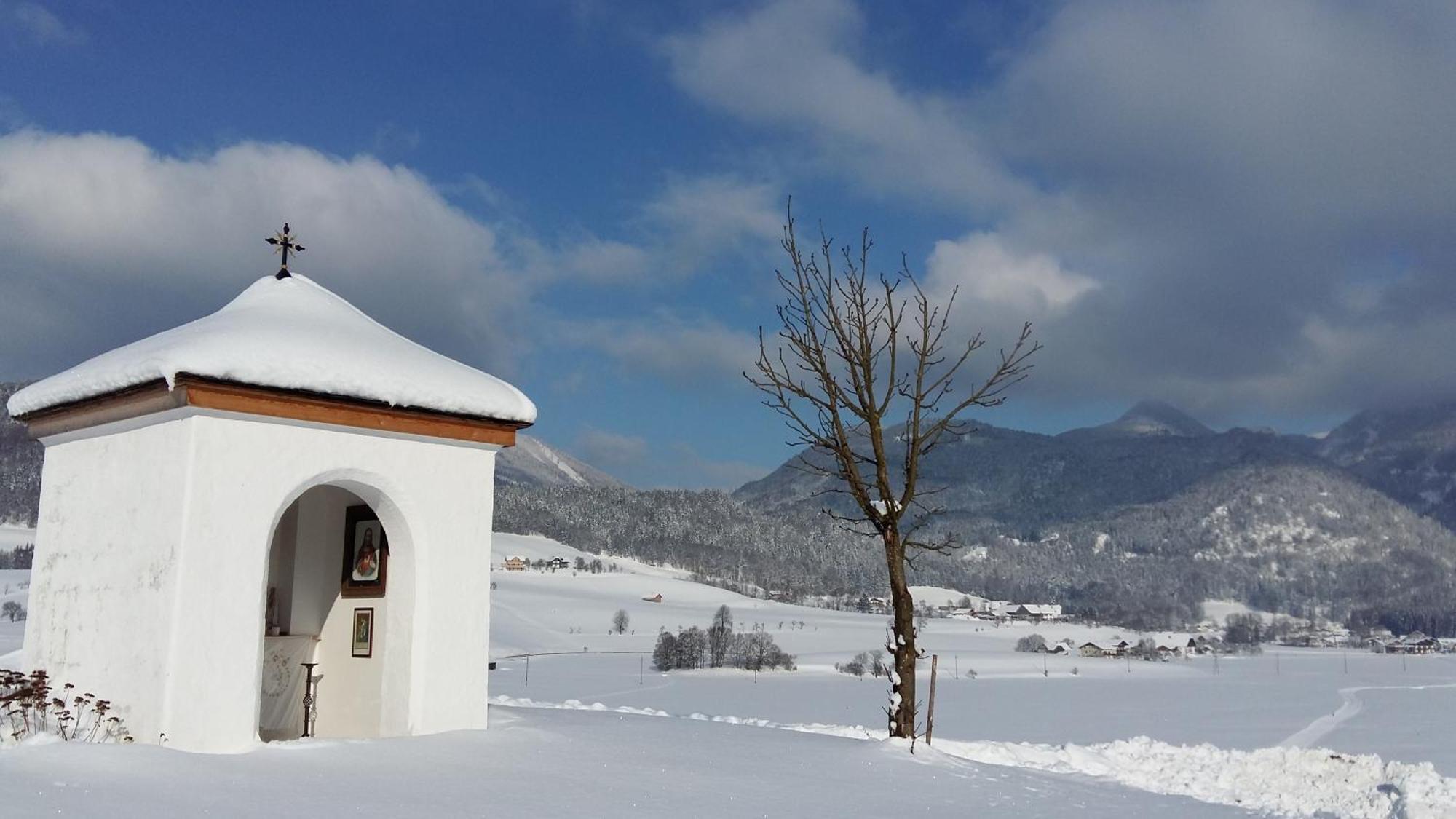 Weinbachbauer - Urlaub Am Bauernhof Villa Saint Wolfgang Exterior foto