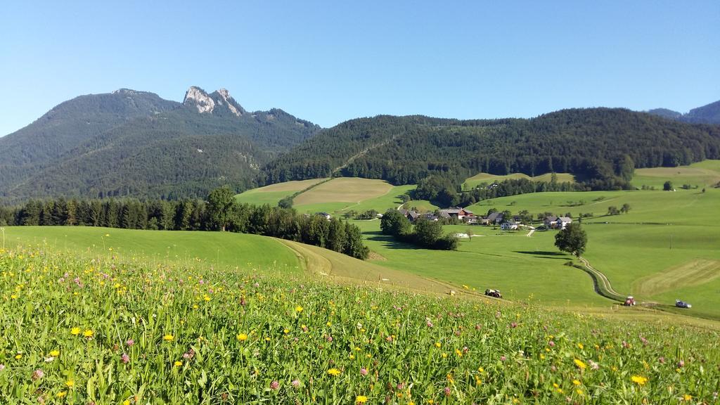 Weinbachbauer - Urlaub Am Bauernhof Villa Saint Wolfgang Exterior foto
